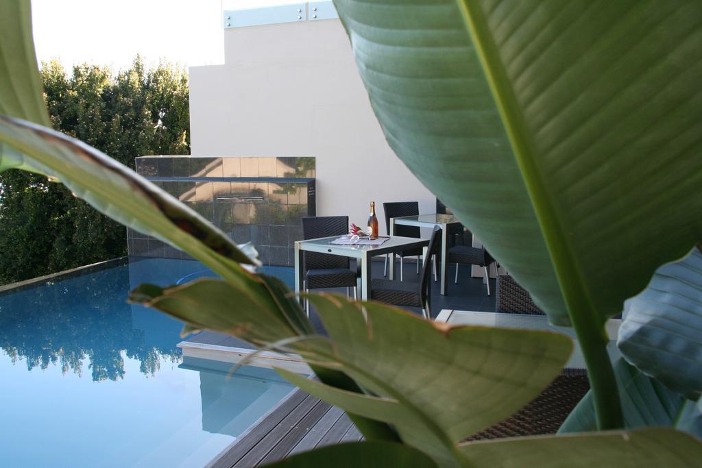 Keren'S Vine Guesthouse 斯泰伦博斯 外观 照片