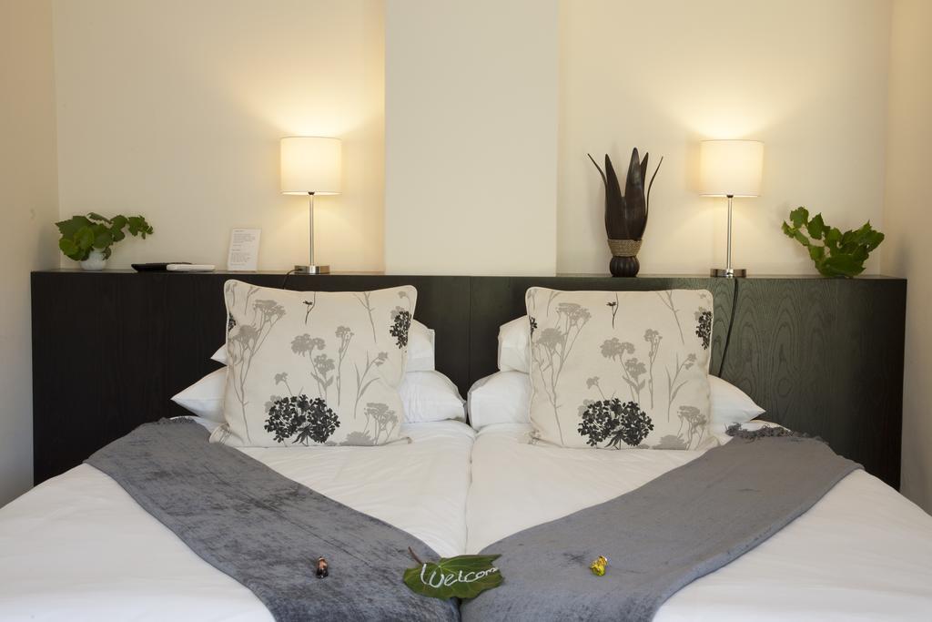 Keren'S Vine Guesthouse 斯泰伦博斯 外观 照片